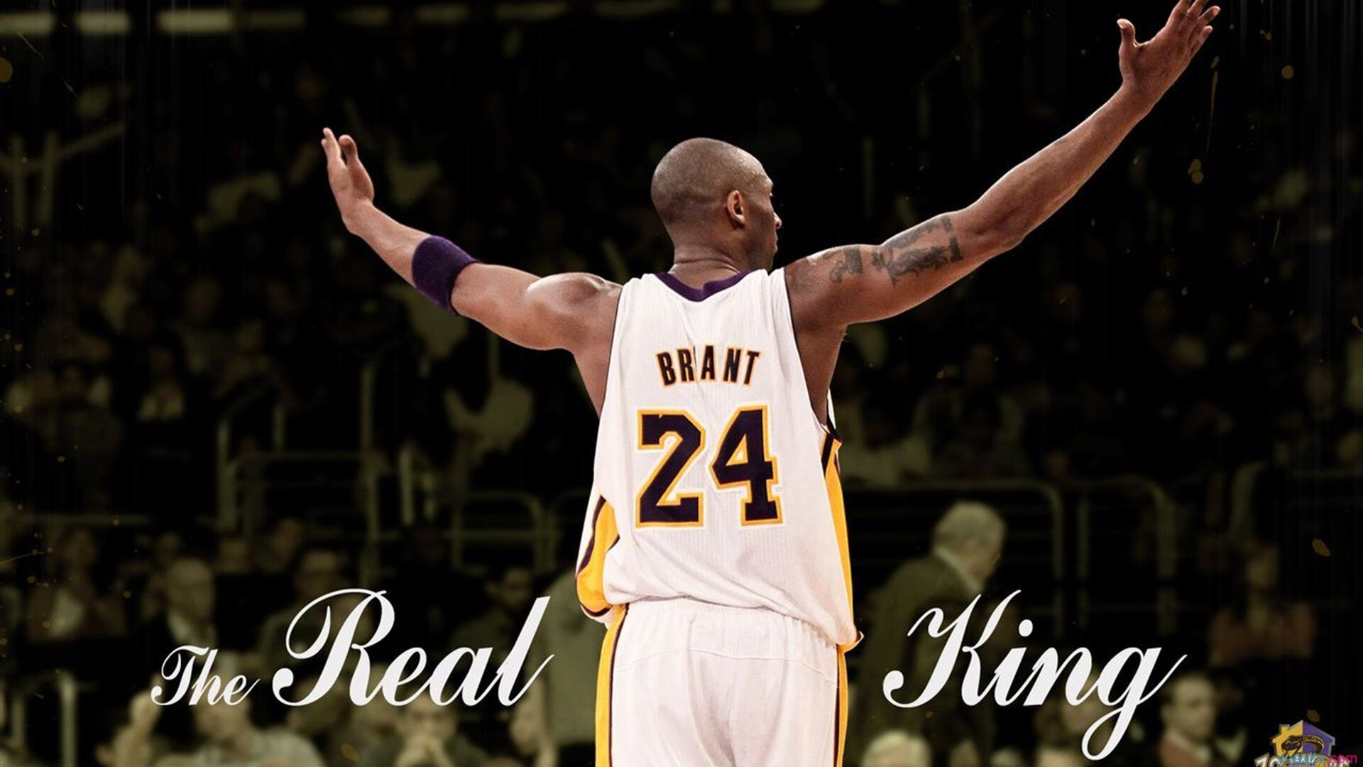 社区互动：粉丝自己制作的精彩投篮集锦，自制投篮器制作方法